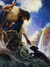 the-parable-of-the-lost-sheep1.jpg image