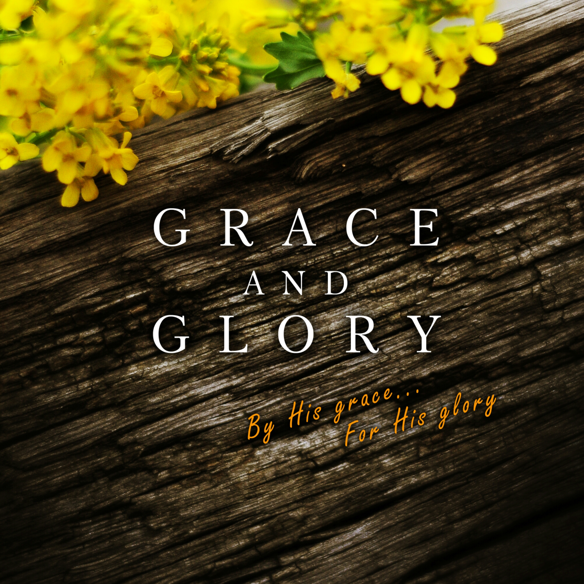 Grace-and-Glory.jpg image