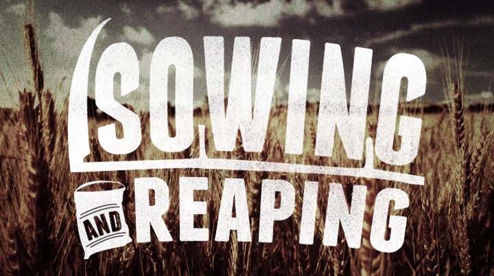 sowing-reaping.jpg image
