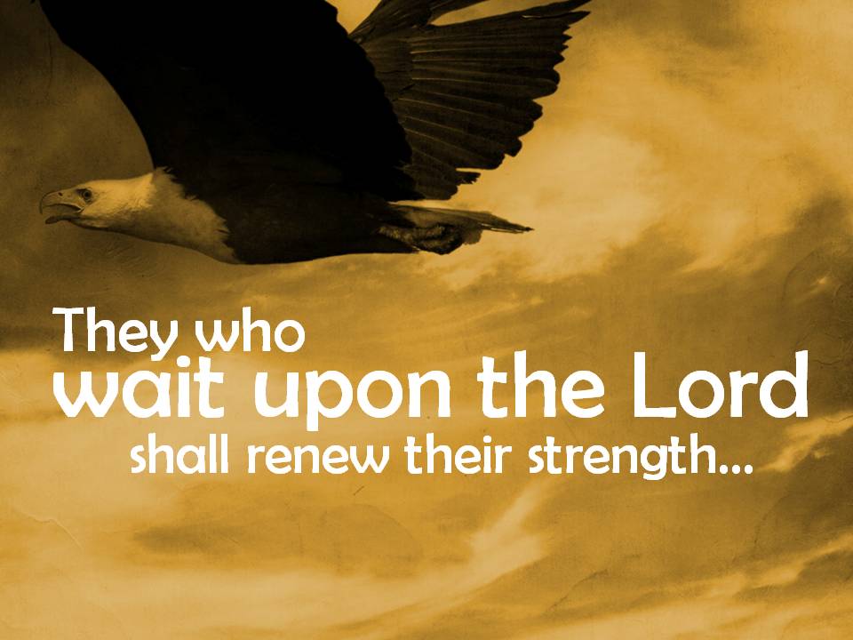 wait-upon-the-lord.jpg image