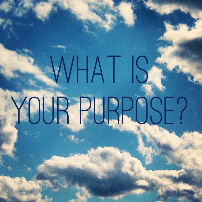 what-is-your-purpose.png image